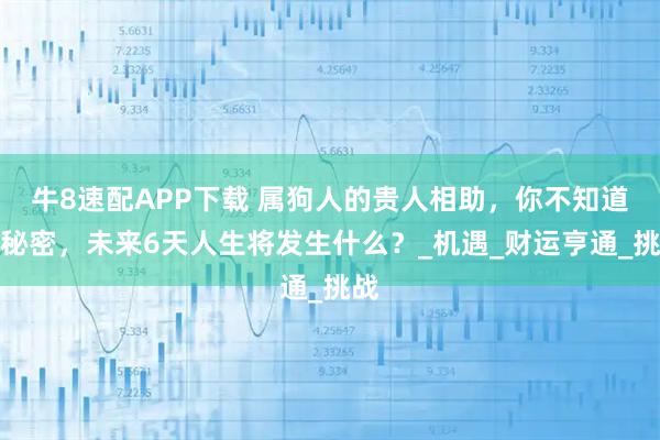 牛8速配APP下载 属狗人的贵人相助,你不知道的秘密,未来6天人生将发生什么?_机遇_财运亨通_挑战